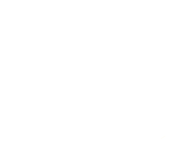 Lille Chauffeur Privé